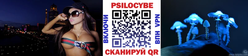 Псилоцибиновые грибы Cubensis  Гагарин 